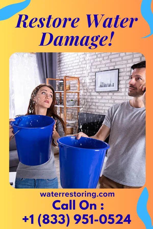 water restoration Silver Flood Damage Company Holden Heights