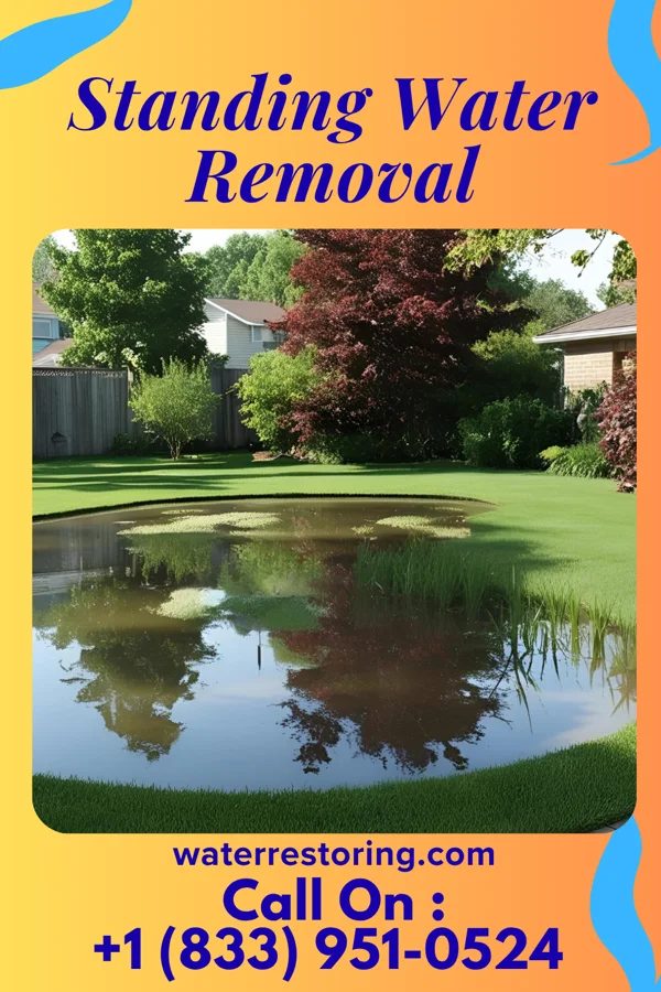 Standing Water Removal in Holden Heights, FL